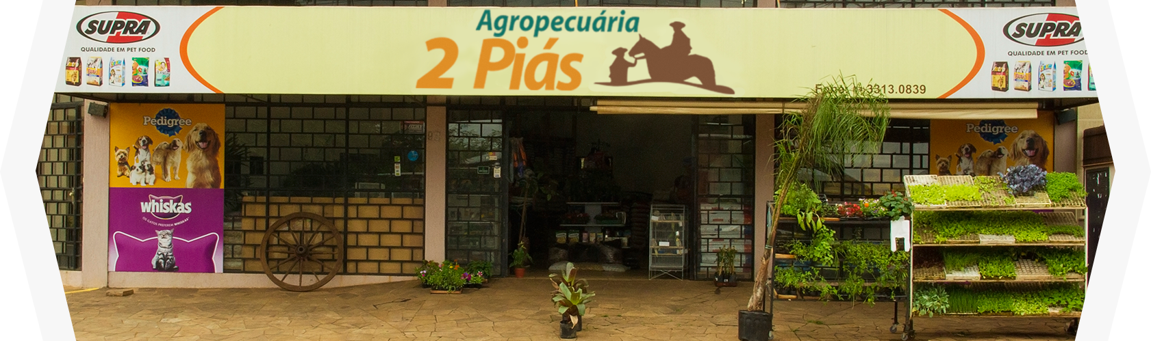 Foto Agropecuária 2 Piás